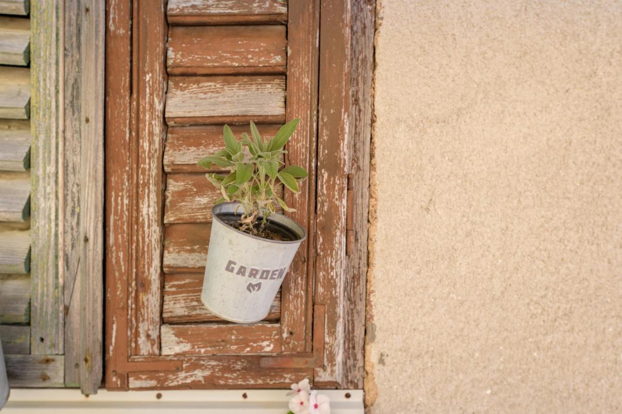 Boutique B&B Mali Pariz Grižane Extérieur photo